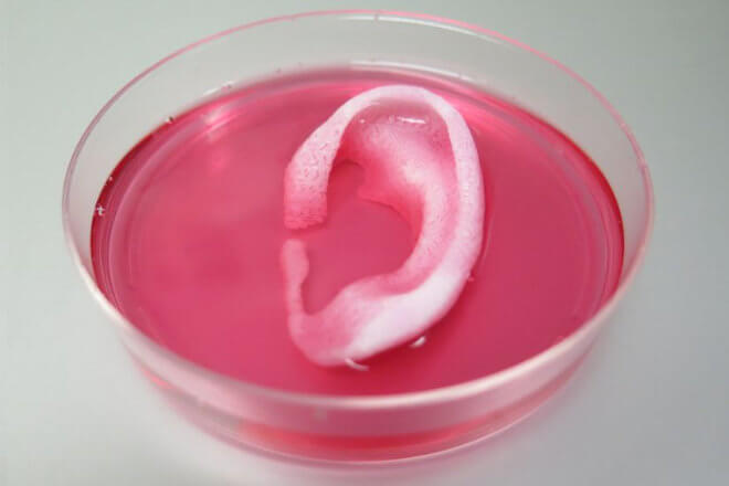Impresora 3D para fabricar orejas, huesos y tejidos humanos