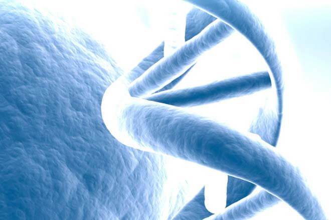 Ordenador con codigo genético humano