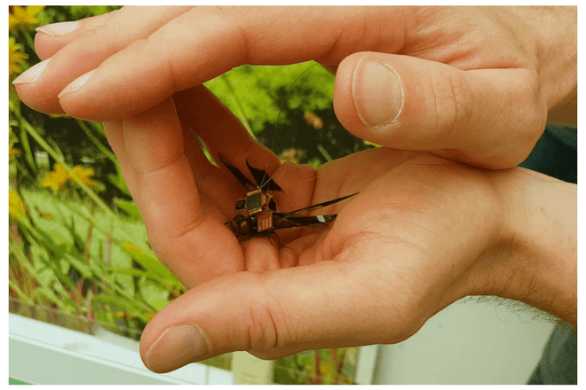 El dron más pequeño del mundo es un insecto