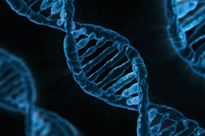 Impresora ADN