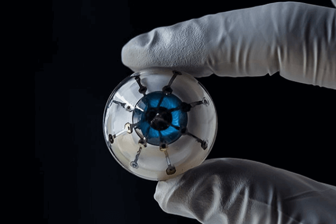 Científicos desarrollan ojo biónico