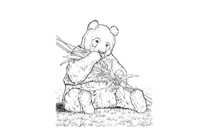 imagen de dibujo en blanco y negro de un oso panda
