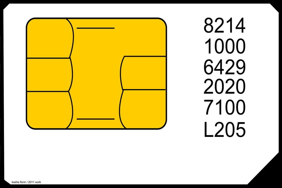 Vector de una tarjeta SIM con números