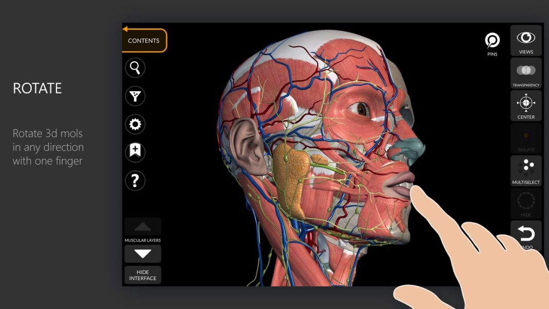 Aplicación de anatomía