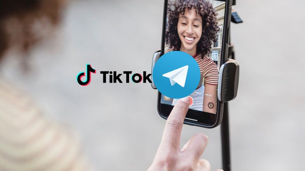 descargar vídeos de TikTok sin marca de agua en Telegram